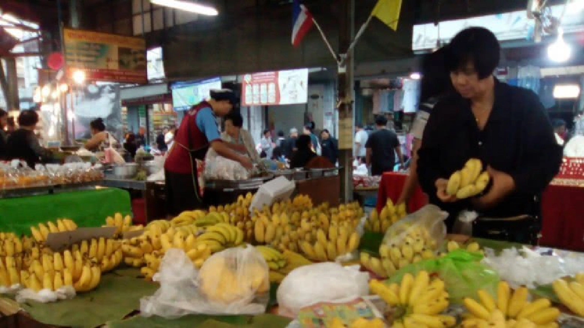 ผู้ว่าฯแพร่ เร่งวางมาตรการ แก้ปัญหาราคากล้วยตกต่ำ