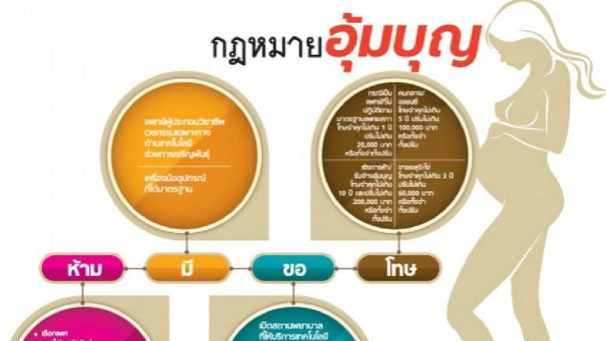 สบส.เร่งประสานสธ.ลาวป้องปราม“อุ้มบุญ”