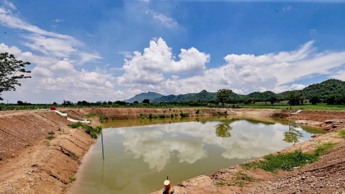  สศก.เตรียมคาดการณ์ผลผลิต และปัจจัยกระทบครึ่งปีหลัง