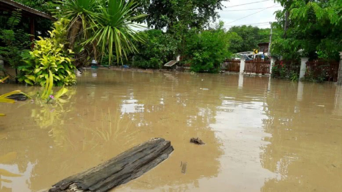 กรมชลฯเร่ง แก้วิกฤตน้ำท่วมศีรีมาศ-บางระกำ