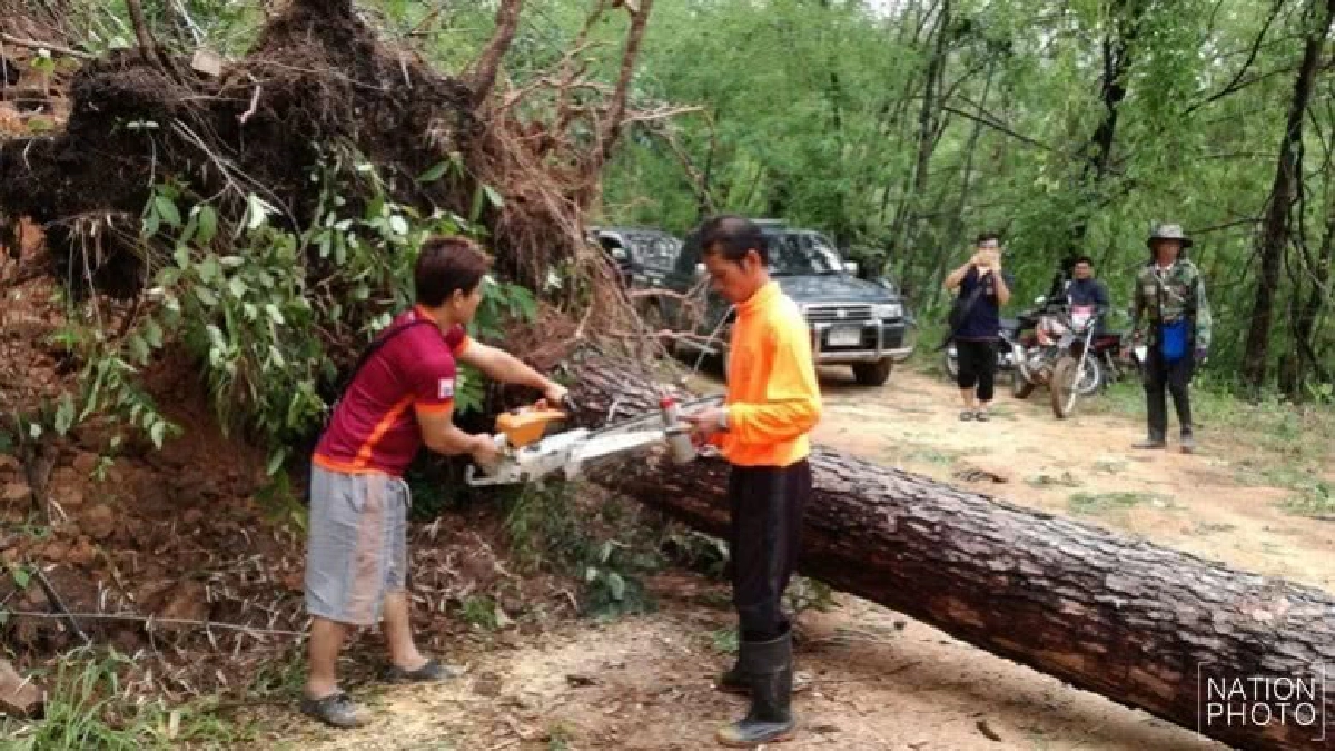 พายุพัดถล่มแม่ยาวบ้านพังต้นไม้ใหญ่ล้มระนาว พายุพัดถล่มแม่ยาวบ้านพังต้นไม้ใหญ่ล้มระนาว