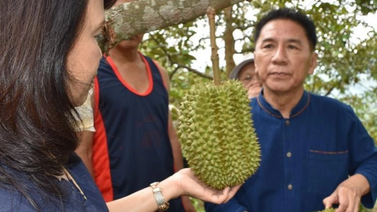 สุดฟิน!!กิน"ทุเรียน"ใต้ต้น-นนท.แห่งจองตรึม สุดฟิน!!กิน"ทุเรียน"ใต้ต้น-นนท.แห่งจองตรึม