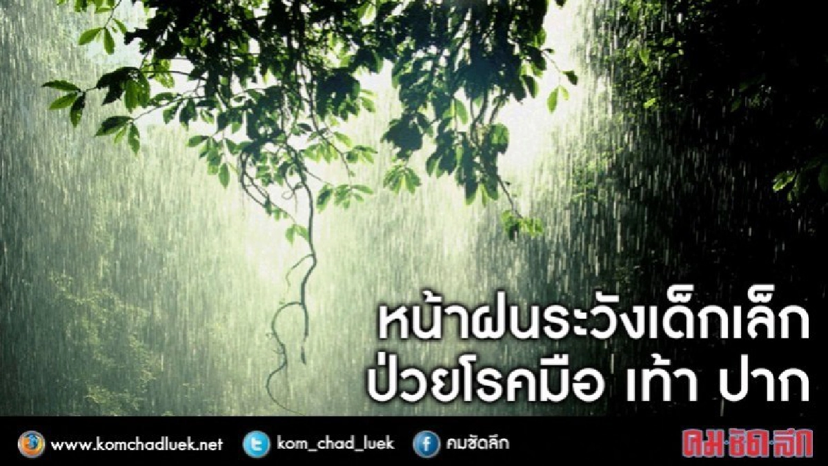 เด็กเล็กระวังโรคมือ เท้า ปาก 