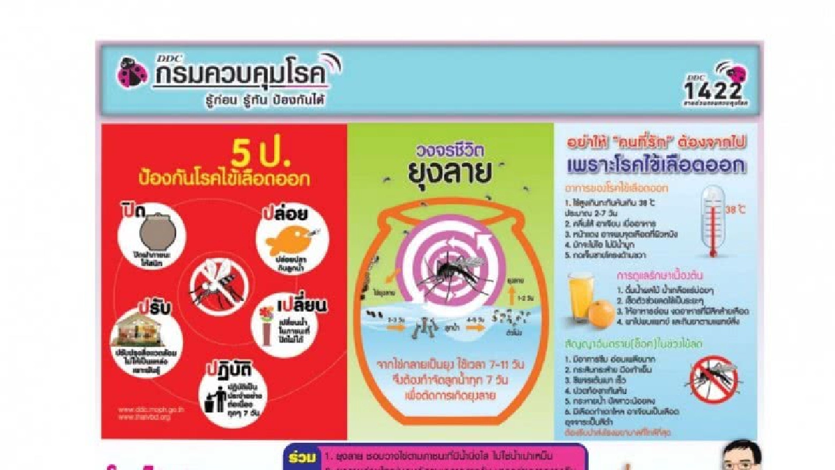 สธ.ยันไทยไม่มีไข้เลือดออกสายพันธุ์ใหม่ 