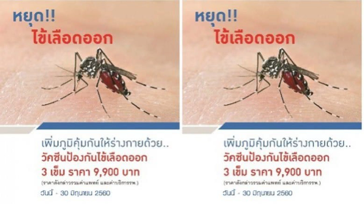 รพ.ธนบุรีเชิญเพิ่มภูมิคุ้มกันให้ร่างกายด้วยวัคซีนไข้เลือดออก รพ.ธนบุรีเชิญเพิ่มภูมิคุ้มกันให้ร่างกายด้วยวัคซีนไข้เลือดออก
