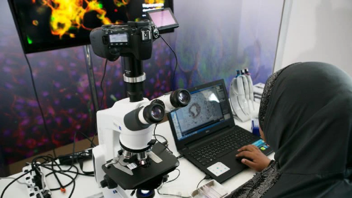 กองทุนสเต็มเซลล์