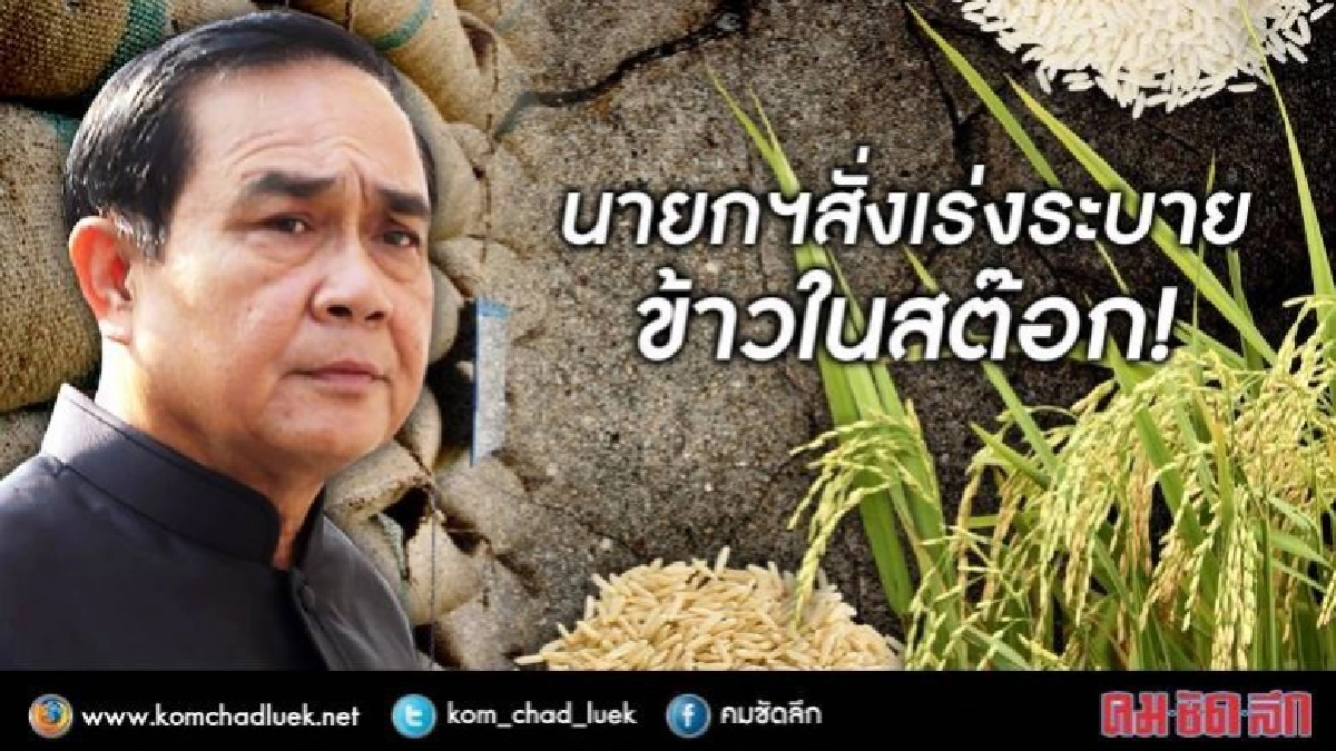 นายกสั่งเร่งระบายข้าวในสต็อก หลังรัฐแบกรับภาระเดือนละพันล้าน นายกสั่งเร่งระบายข้าวในสต็อก หลังรัฐแบกรับภาระเดือนละพันล้าน