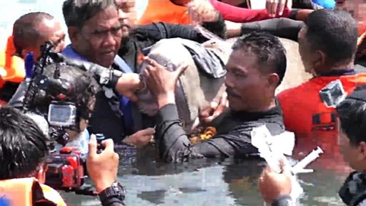ถอดสัญญาณดาวเทียมพะยูน! ถอดสัญญาณดาวเทียมพะยูน!