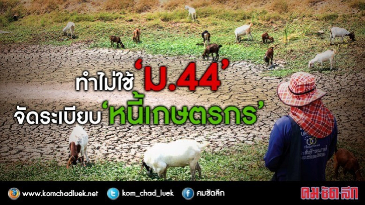 ทำไมใช้ “ม.44” จัดระเบียบ “หนี้เกษตรกร” ทำไมใช้ “ม.44” จัดระเบียบ “หนี้เกษตรกร”