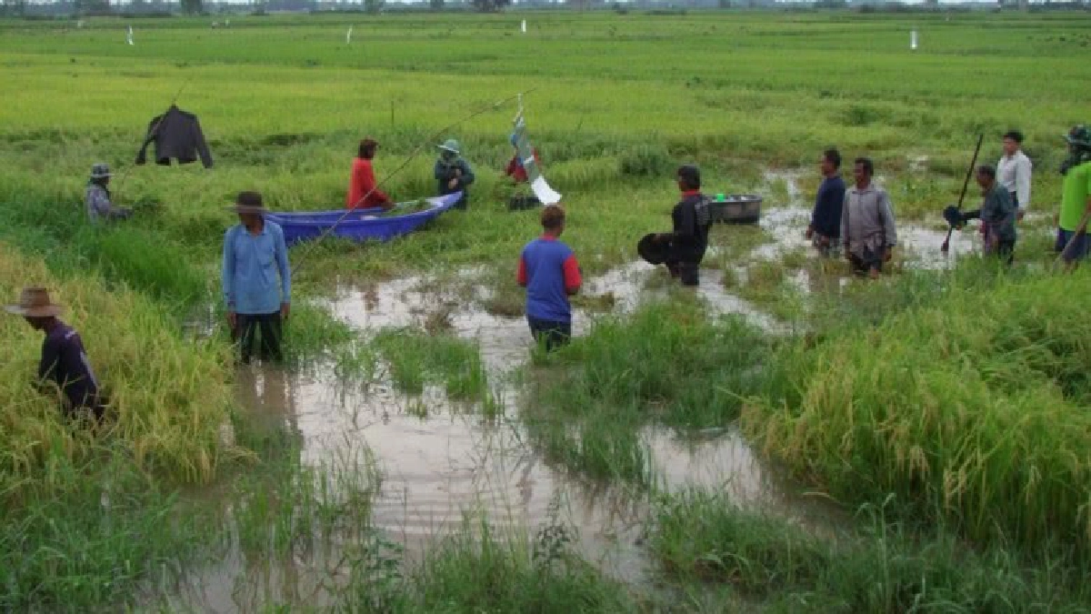 นายกฯ สั่งสอบ ธกส. หักหนี้ชาวนาจากเงินช่วยเหลือ