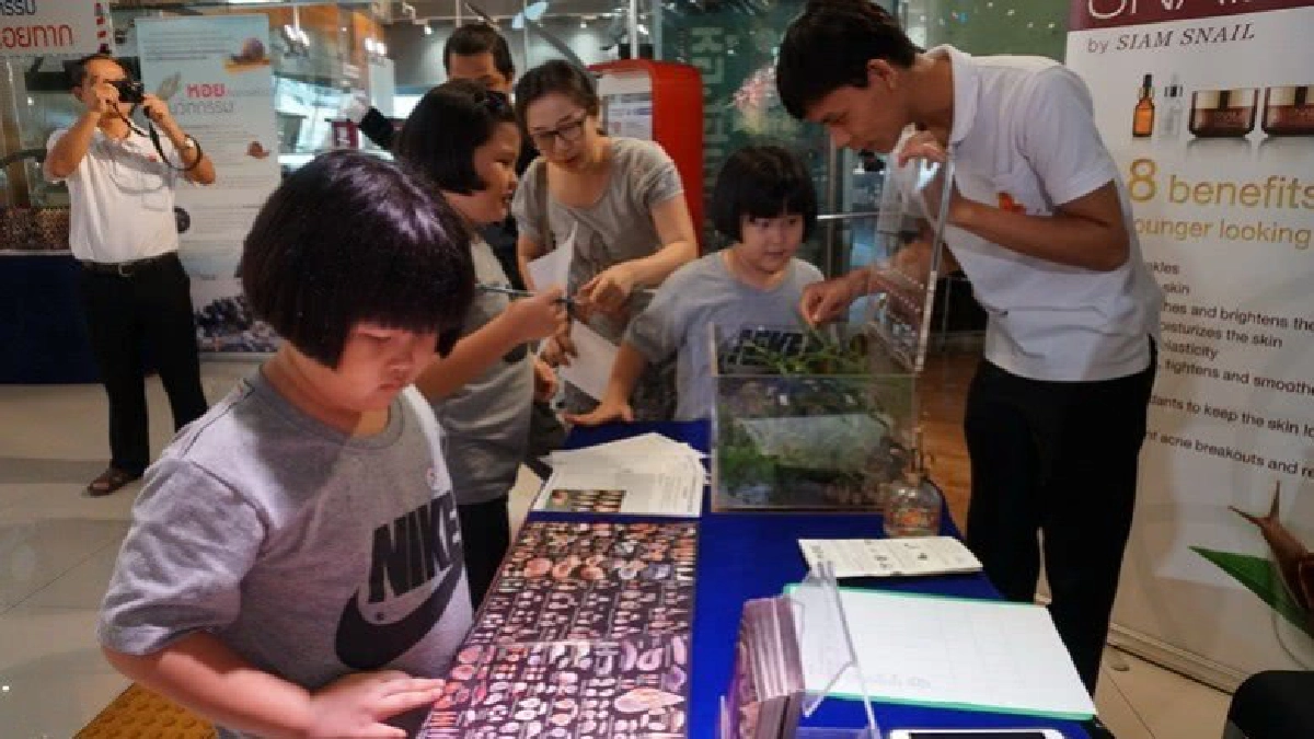 ค้นความลับ“ปริศนาแห่งเปลือกหอย”