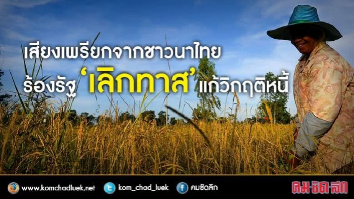 เสียงเพรียกจากชาวนาไทย เสียงเพรียกจากชาวนาไทย