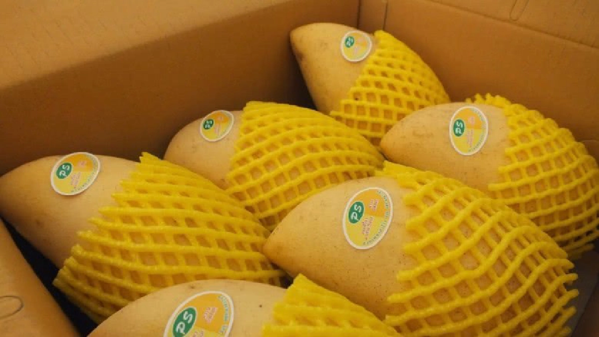 สศก.คาดจีดีพีเกษตรโต4-4.5% ชี้ปีทองผลไม้ไทย‘ส่งออกพุ่ง’