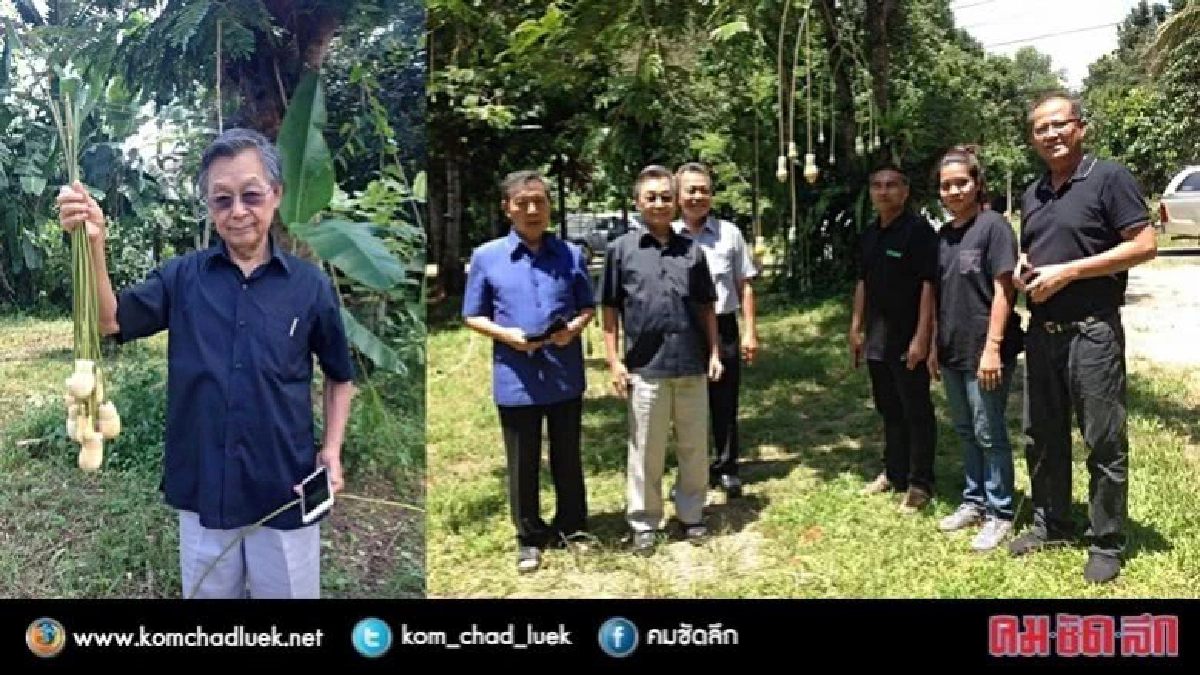 สะตอพันธุ์ใหม่ ‘ชวน หลีกภัย’