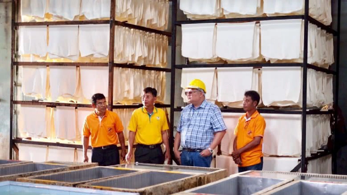 กยท.เตรียมปล่อยกู้ดอกเบี้ยต่ำ 2.5พันล้านแก่ชาวสวนยาง