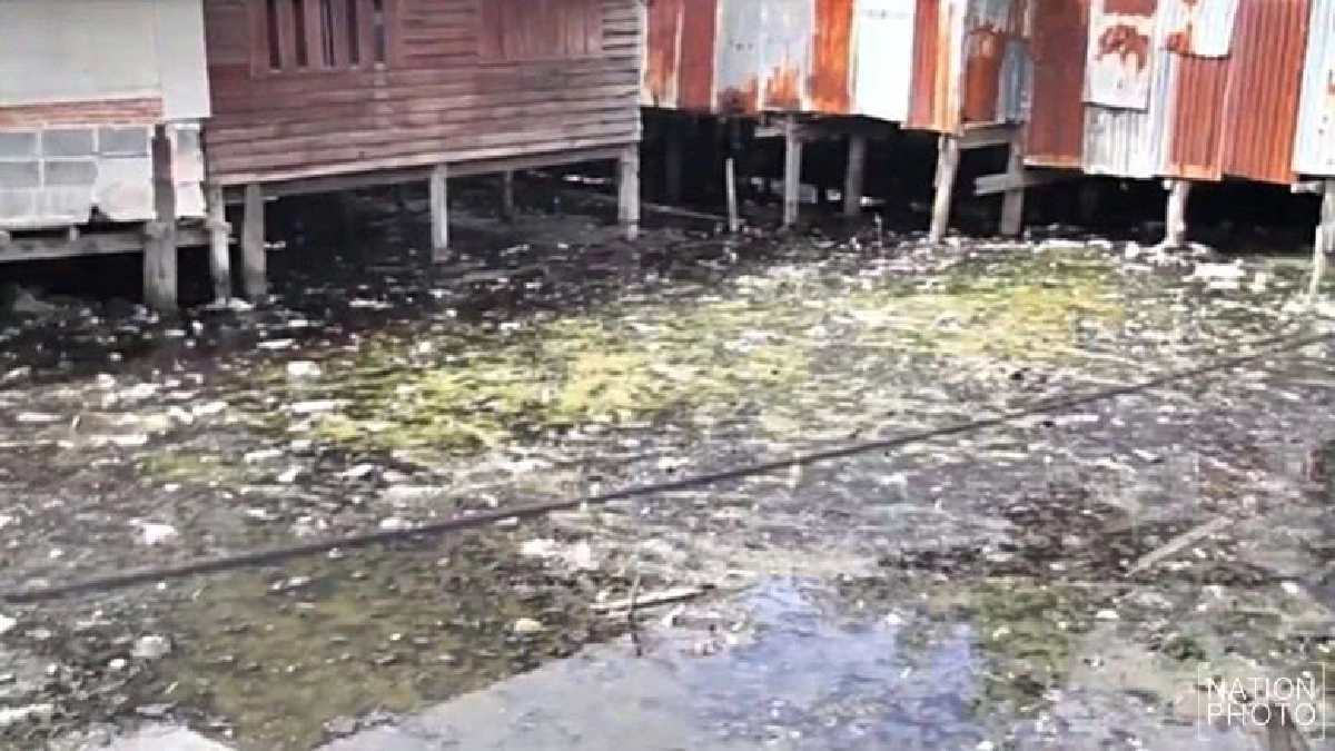 พัทยาลุยรื้อบ้านเช่ารุกล้ำลำคลอง พัทยาลุยรื้อบ้านเช่ารุกล้ำลำคลอง