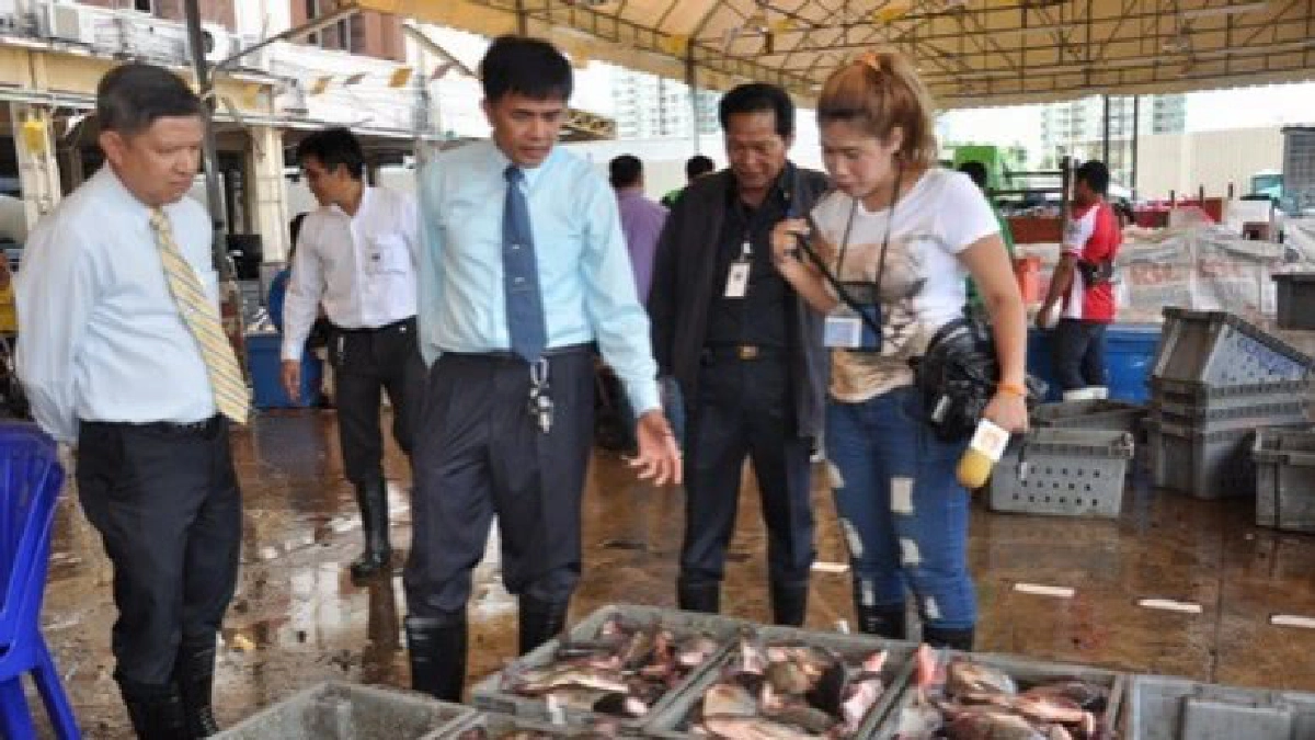 ธุรกิจอาหารญี่ปุ่น เล็งใช้ปลาไทยทำซาซิมิ ธุรกิจอาหารญี่ปุ่น เล็งใช้ปลาไทยทำซาซิมิ