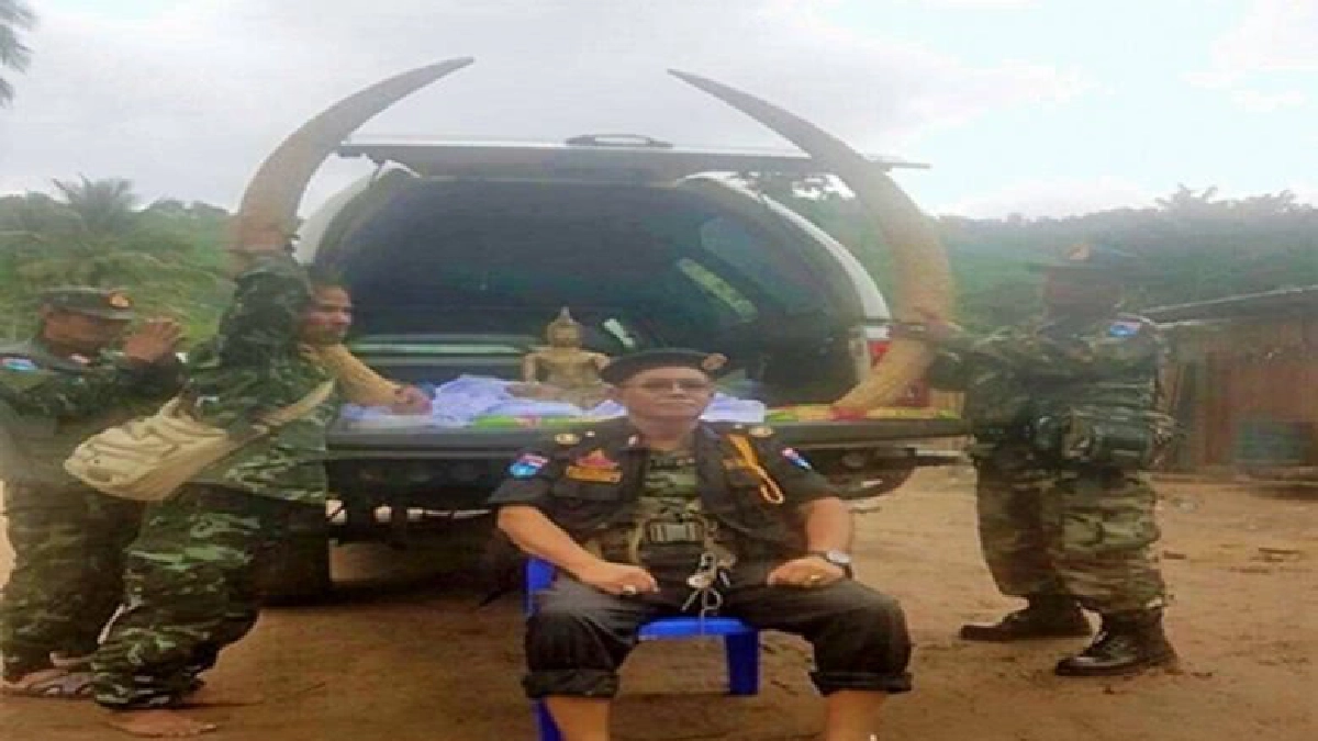 กรมศิลป์ฯ เตรียมช่วยขึ้นทะเบียนงาช้าง 400 ปี กรมศิลป์ฯ เตรียมช่วยขึ้นทะเบียนงาช้าง 400 ปี