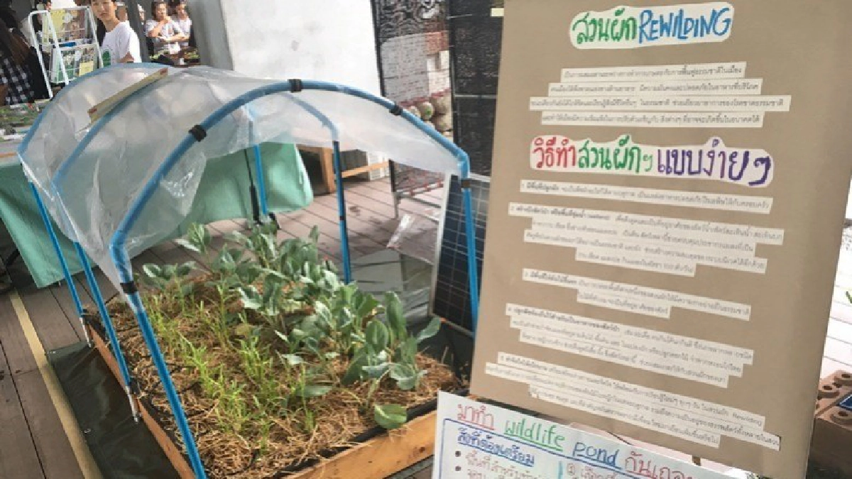 สวนผักคนเมือง