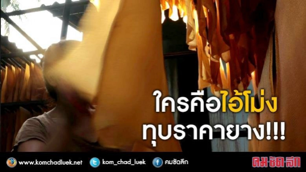 ใครคือไอ้โม่ง ทุบราคายาง ?