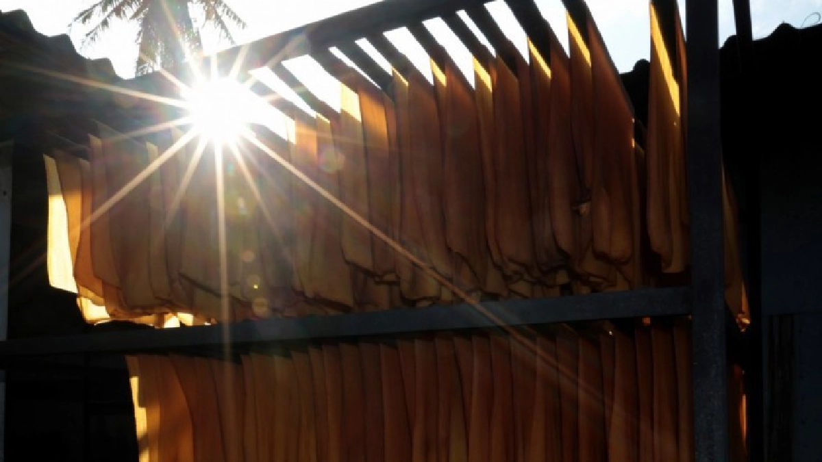 "ฉัตรชัย” สั่งตั้งคณะทำงานตรวจสอบปริมาณยางในตลาดจริง