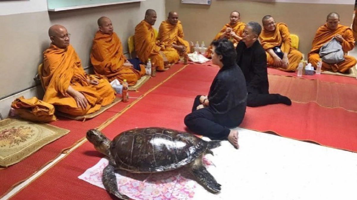 นำร่างสตาฟ "เต่าออมสิน" ทำบุญอุทิศส่วนกุศล นำร่างสตาฟ "เต่าออมสิน" ทำบุญอุทิศส่วนกุศล