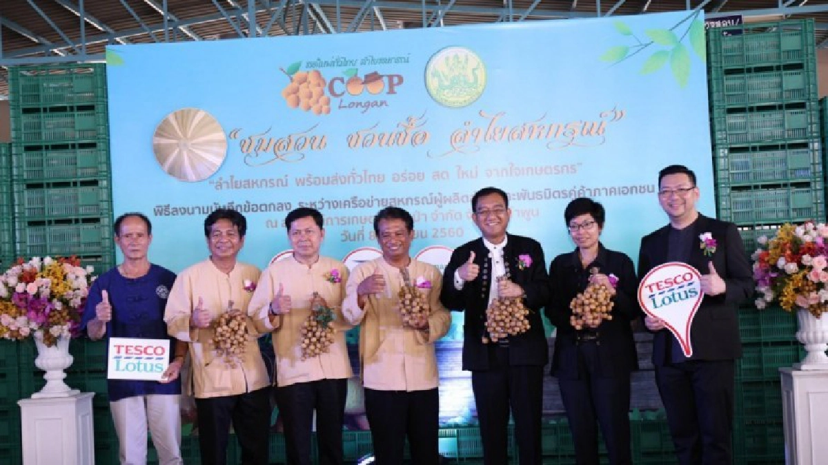 สหกรณ์ลำพูนผนึกเครือข่ายกระจายลำไยผ่านโมเดิร์นเทรด สหกรณ์ลำพูนผนึกเครือข่ายกระจายลำไยผ่านโมเดิร์นเทรด