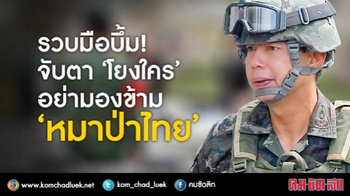 รวบมือบึ้ม! จับตา “โยงใคร”อย่ามองข้าม “หมาป่าไทย” รวบมือบึ้ม! จับตา “โยงใคร”อย่ามองข้าม “หมาป่าไทย”