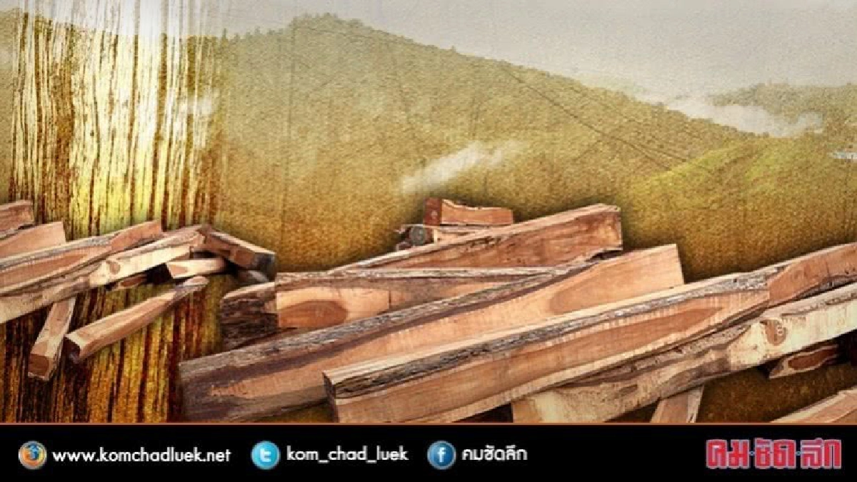 รวบแล้ว 2 มอดไม้ทำร้ายเจ้าหน้าที่ทับลาน 
