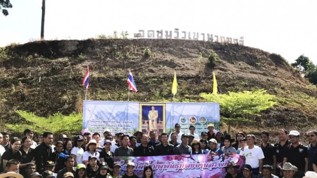 เล็งเนรมิตภูเขาสีชมพูแห่งแรกในภาคใต้ ที่จุดชมวิว เขานางหงส์ เล็งเนรมิตภูเขาสีชมพูแห่งแรกในภาคใต้ ที่จุดชมวิว เขานางหงส์