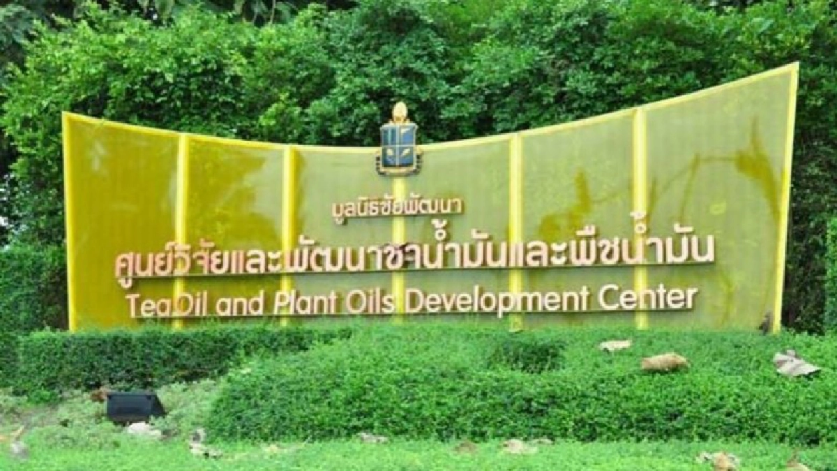 ศูนย์วิจัยและพัฒนาชาน้ำมันและพิชน้ำมัน จ.เชียงราย ศูนย์วิจัยและพัฒนาชาน้ำมันและพิชน้ำมัน จ.เชียงราย