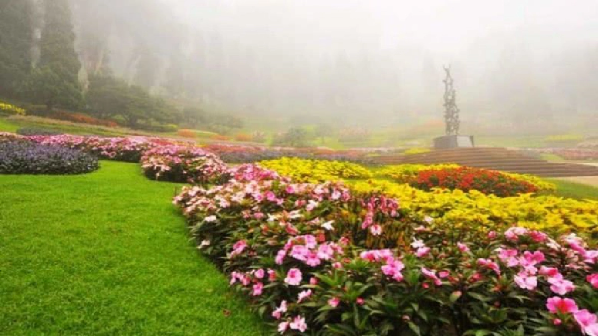 โครงการพัฒนาดอยตุง (พื้นที่ทรงงาน) อันเนื่องมาจากพระราชดำริ จ.เชียงราย