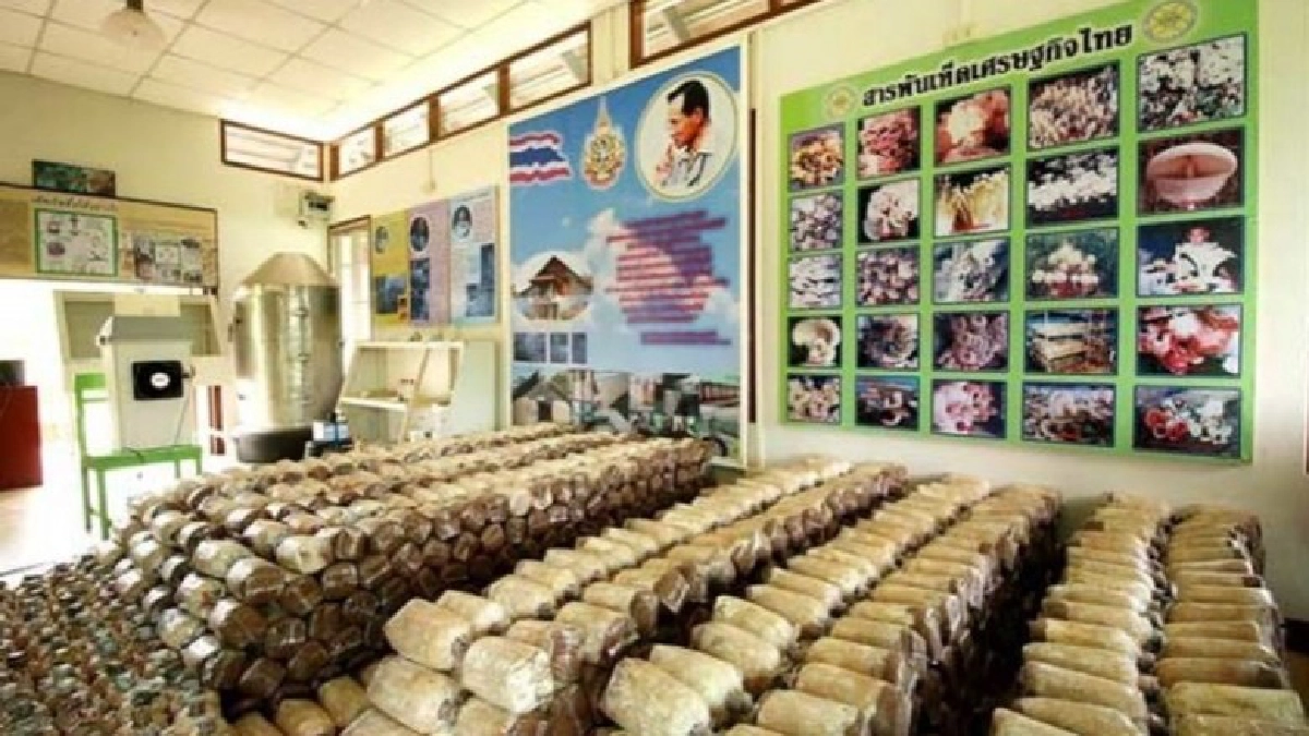 ศูนย์การเรียนรู้ปรัชญาเศรษฐกิจพอเพียง ภาคตะวันออกเฉียงเหนือค่ายสุรนารี จ.นครราชสีมา ศูนย์การเรียนรู้ปรัชญาเศรษฐกิจพอเพียง ภาคตะวันออกเฉียงเหนือค่ายสุรนารี จ.นครราชสีมา
