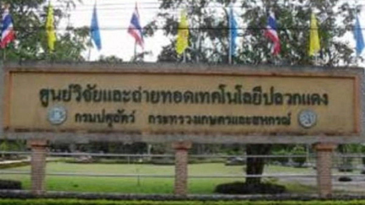 โครงการศูนย์บริการการพัฒนาปลวกแดงตามพระราชดำริ จ.ระยอง โครงการศูนย์บริการการพัฒนาปลวกแดงตามพระราชดำริ จ.ระยอง