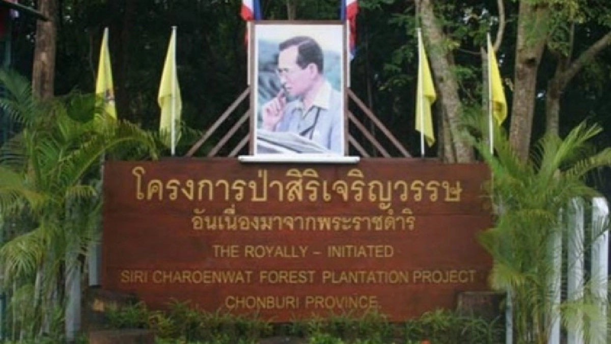 โครงการป่าสิริเจริญวรรษ จ.ชลบุรี โครงการป่าสิริเจริญวรรษ จ.ชลบุรี
