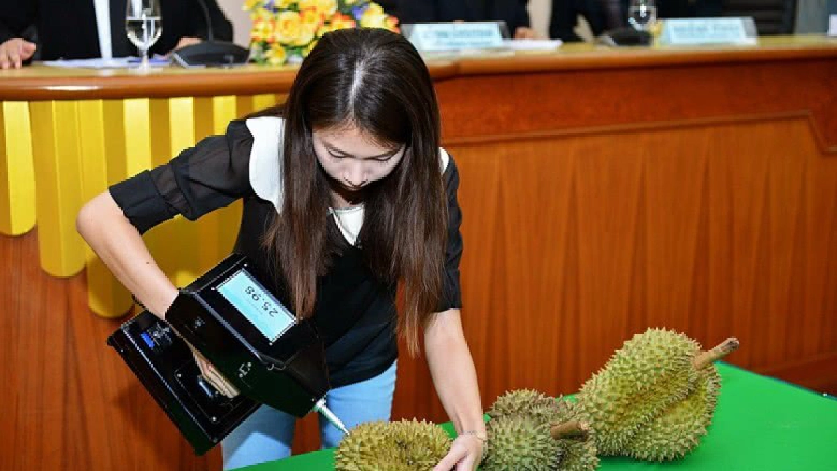 แก่ สุก รู้ผลเสี้ยววินาที