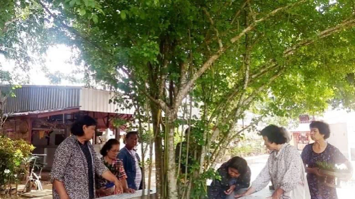 แห่บูชา'ต้นเทียนพระพุทธเจ้า'หนึ่งเดียวจ.น่าน