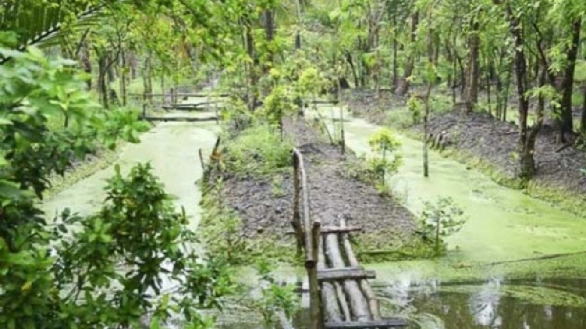 กรีนไลฟ์ ‘บางกระเจ้า’