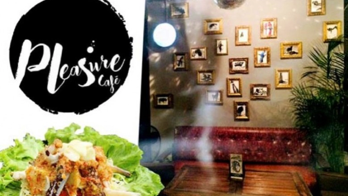 Pleasure cafe Pleasure cafe