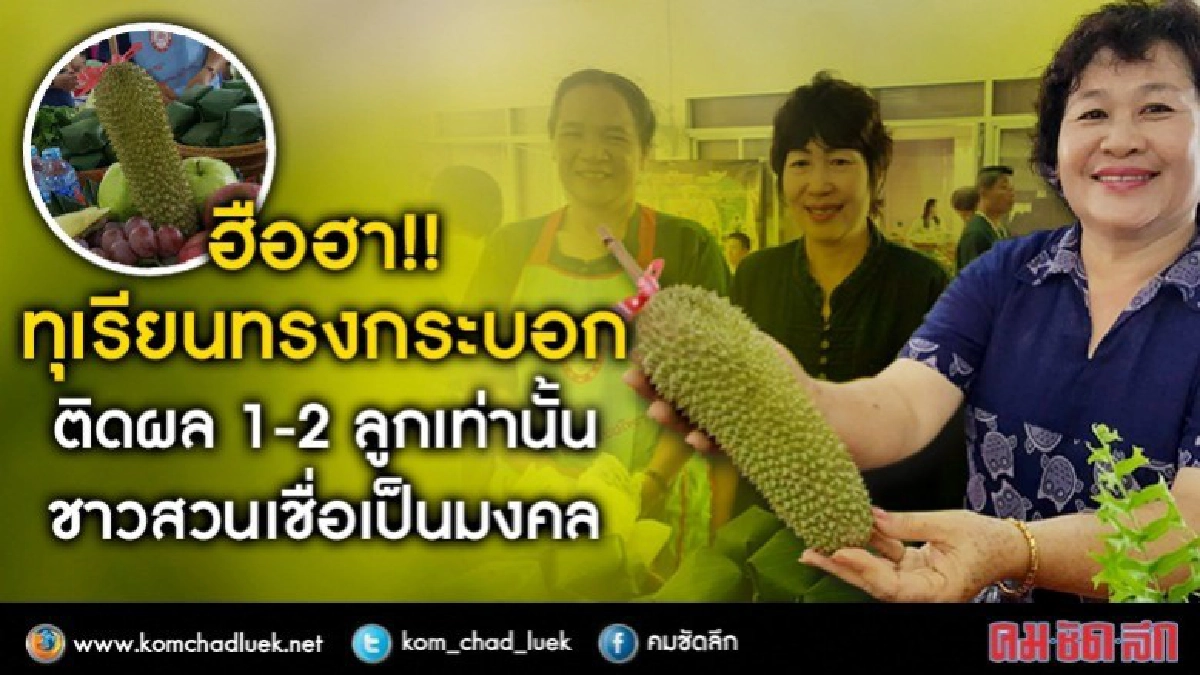 ฮือฮา!!ทุเรียนแปลกทรงกระบอกชาวสวนเชื่อเป็นมงคล
