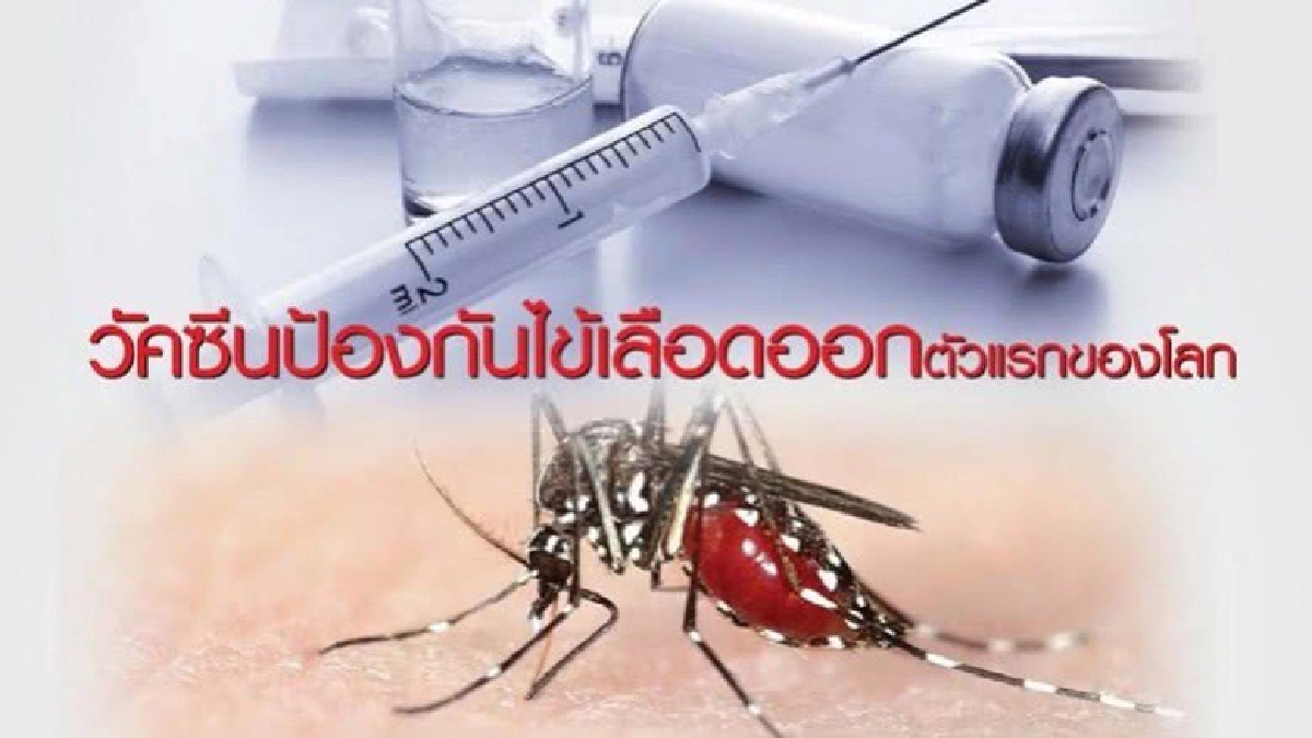 แพทย์เตือนฤดูฝนปราบยุงลายป้องกันไข้เลือดออก