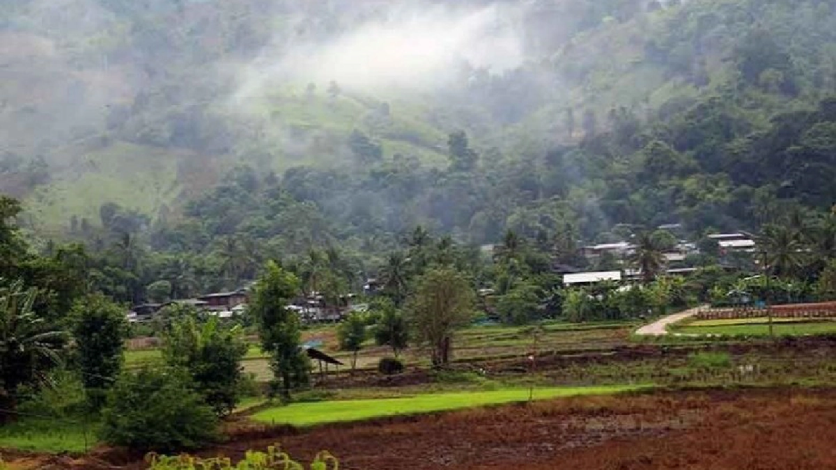 ทะเลหมอก เลย จ.เลย