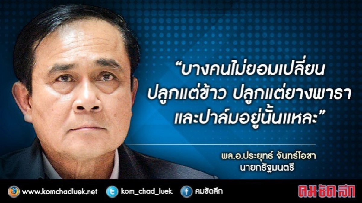 ถ้าการเมืองไม่มีเสถียรภาพอย่างไรยางก็ราคาตก 