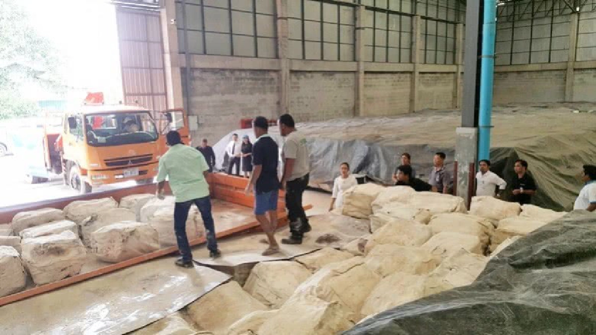 คิกออฟยางล๊อตแรก 100 ตันส่งกรมชลฯ