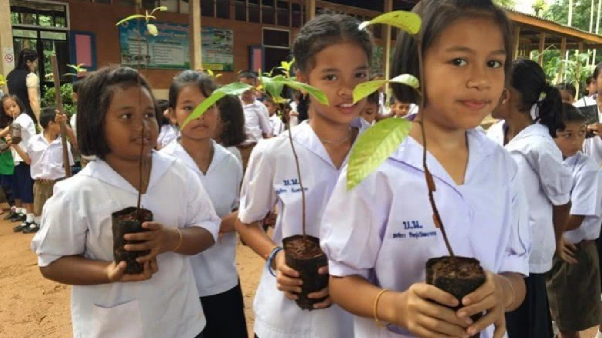 ปลูกป่าเพื่อพ่อสืบสานพระราชปณิธานของพ่อหลวง