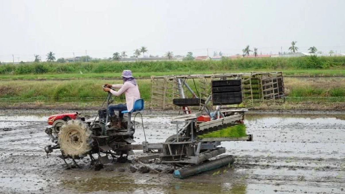 วช. ร่วมจับมือ 4 มหาวิทยาลัย เปิดโลกผลงานวิจัยและนวัตกรรม วช. ร่วมจับมือ 4 มหาวิทยาลัย เปิดโลกผลงานวิจัยและนวัตกรรม