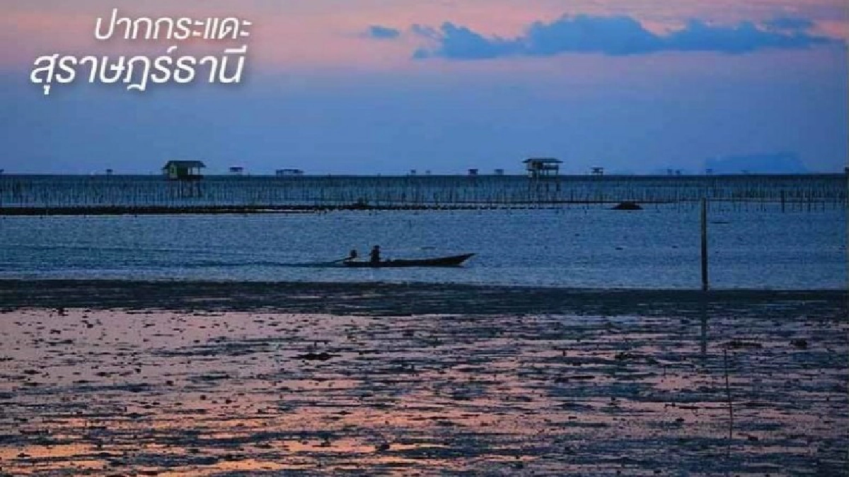 ปากกระแดะ สุราษฎร์ธานี จ.สุราษฎร์ธานี