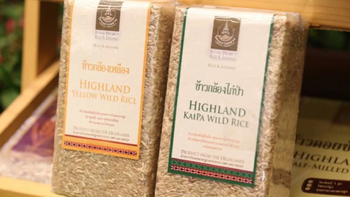 ยกคุณค่าจากยอดดอยสู่ชาวกรุง