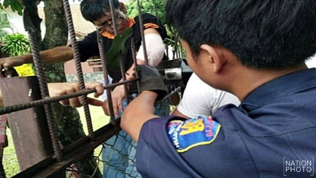ปีนตัดกิ่งไม้พลัดตกรั้วเหล็กเสียบแขน ปีนตัดกิ่งไม้พลัดตกรั้วเหล็กเสียบแขน