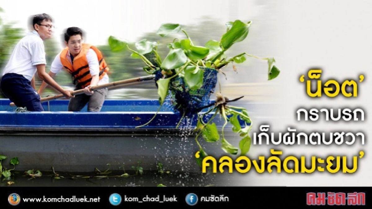 "น็อต"กราบรถ เก็บผักตบชวา "คลองลัดมะยม" "น็อต"กราบรถ เก็บผักตบชวา "คลองลัดมะยม"